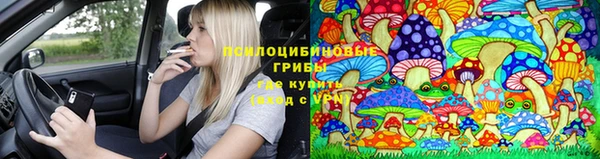 a pvp Верхний Тагил