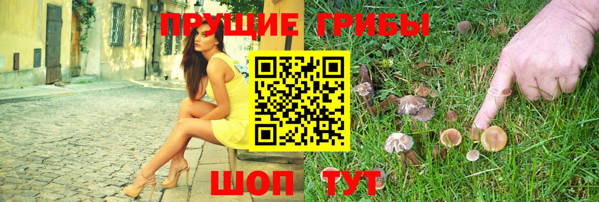 Псилоцибиновые грибы ЛСД  Псилоцибиновые грибы Magic Shrooms  Горно-Алтайск 